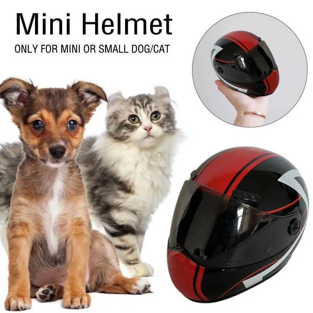 Модный мини-мотоциклетный шлем для защиты домашних животных, маленькая собачка, кошка, щенки, шапка от столкновений, Милые домашние животные для верховой езды, реквизит для фотосъемки, игрушки